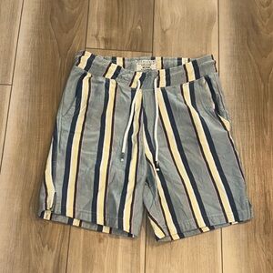 EUC Free Planet Brand Size M Medium Striped Casual Shorts Mens Women’s Neuteral